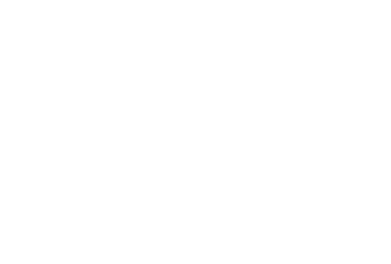 American Brain Foundation logo